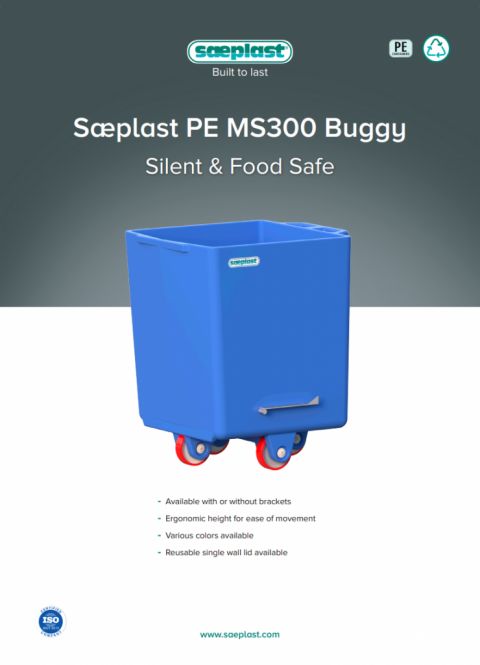 MS 300 Buggy
