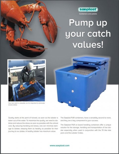 Pump up your catch values!